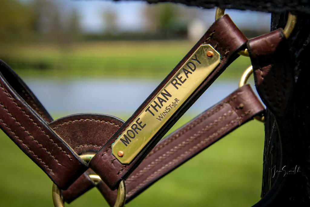 An item for auction at ABR’s Pre-Preakness Party Benefiting Thoroughbred Aftercare. 